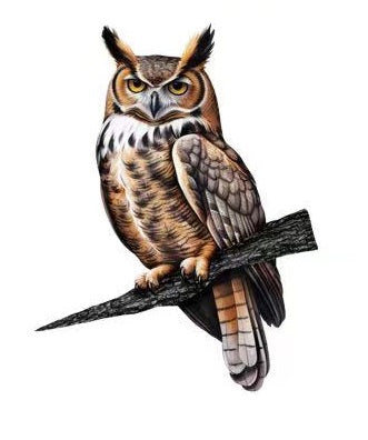 Great horned owl tree stake – laser-cut metal owl with amber eyes perched on steel branch