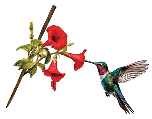 Hummingbird and trumpet flowers stake – laser-cut metal hummingbird hovering at red blooms