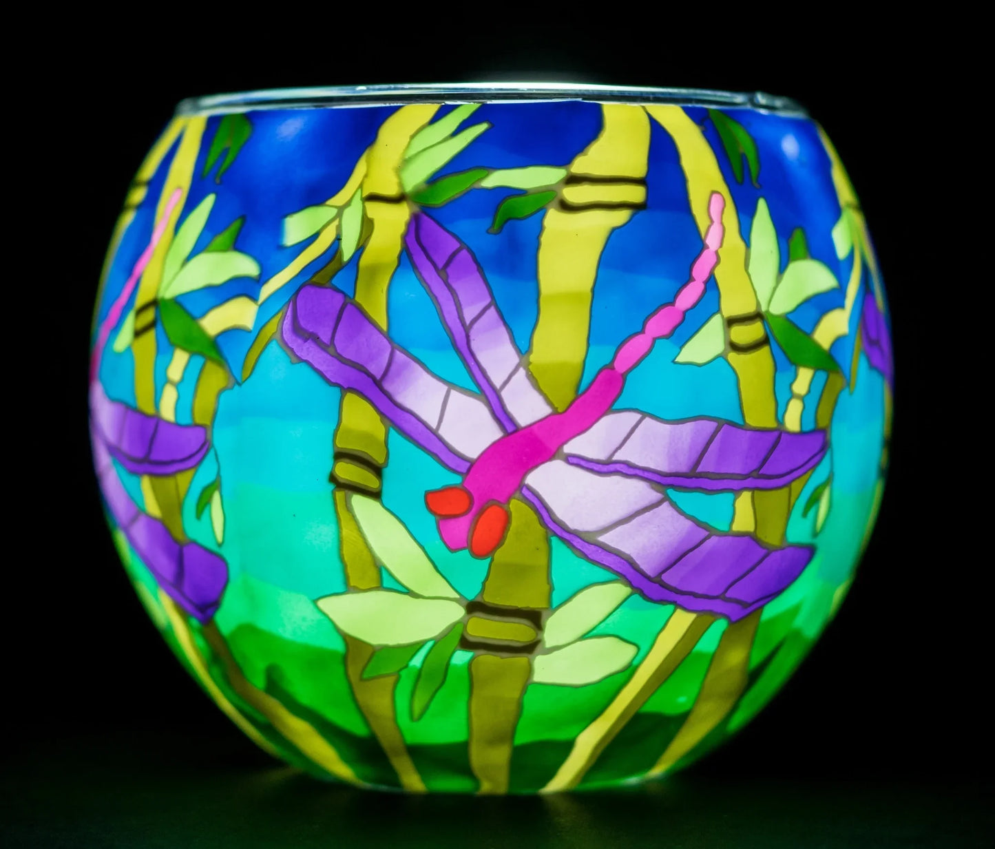 Dragonfly Light Globe + LED Base Bundle