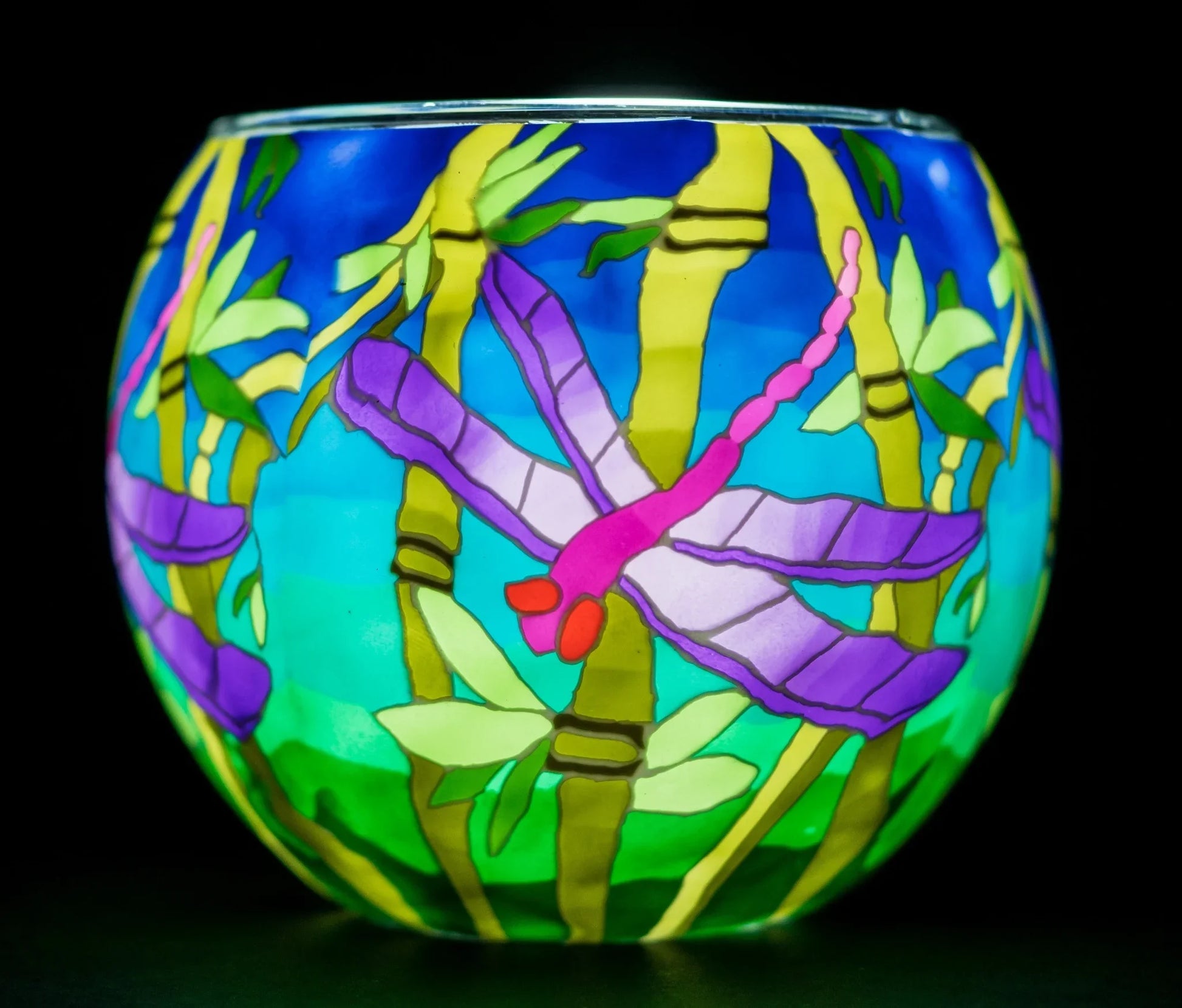 Dragonfly Light Globe + LED Base Bundle