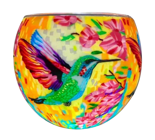 Colourful Hummingbird light globe glowing on LED base bundle