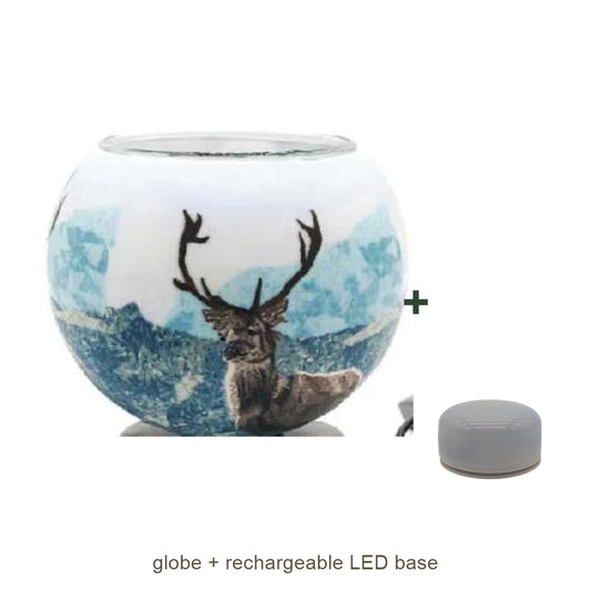 Bundle contents: light globe with rechargeable LED base