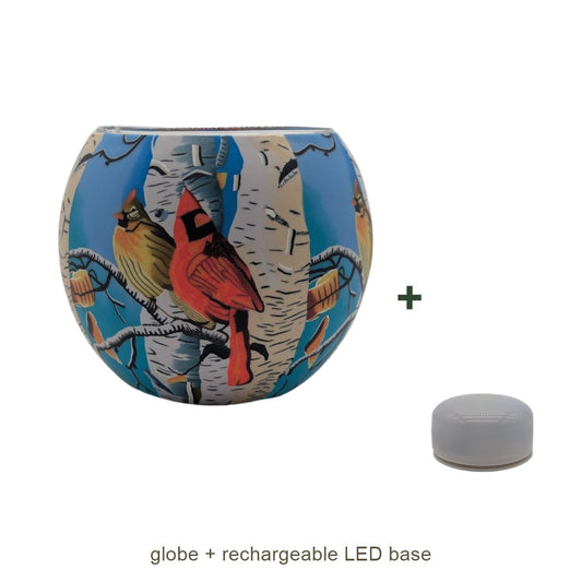 Bundle contents: light globe with rechargeable LED base