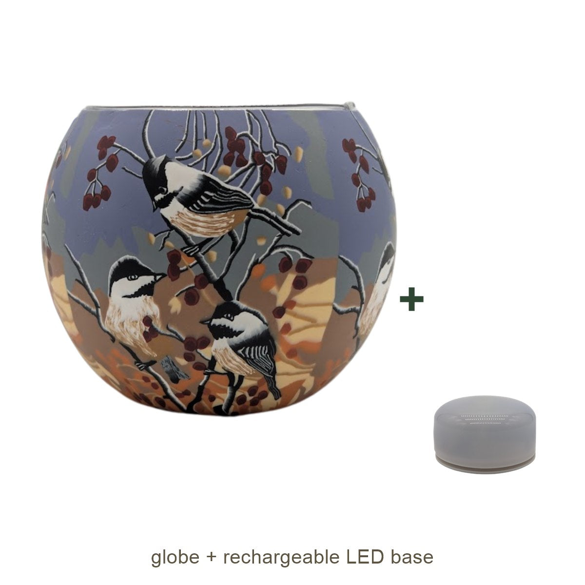Bundle contents: light globe with rechargeable LED base
