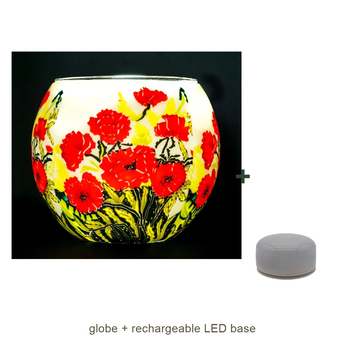 Bundle contents: light globe with rechargeable LED base