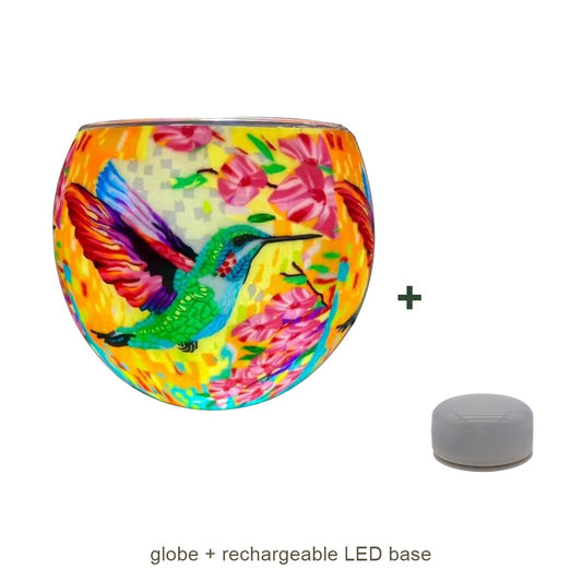 Bundle contents: light globe with rechargeable LED base