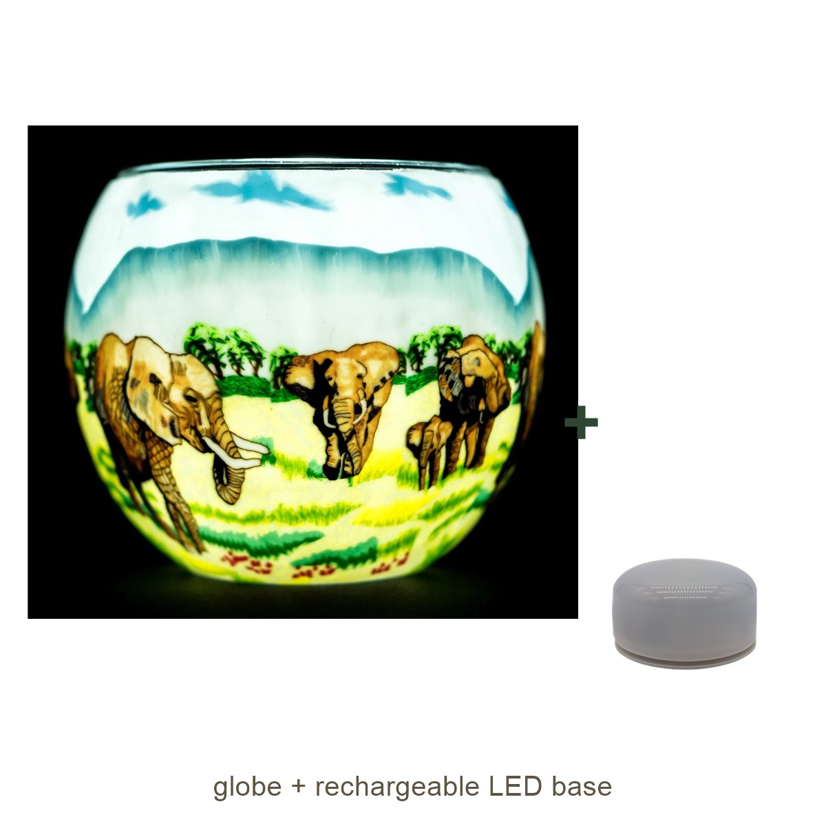 Bundle contents: light globe with rechargeable LED base