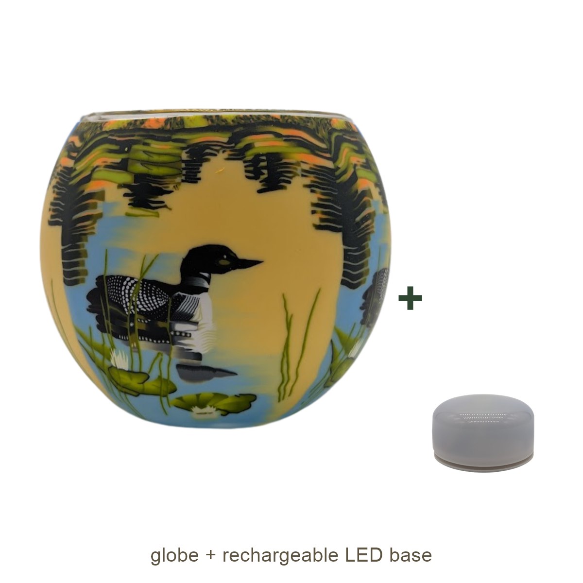 Bundle contents: light globe with rechargeable LED base