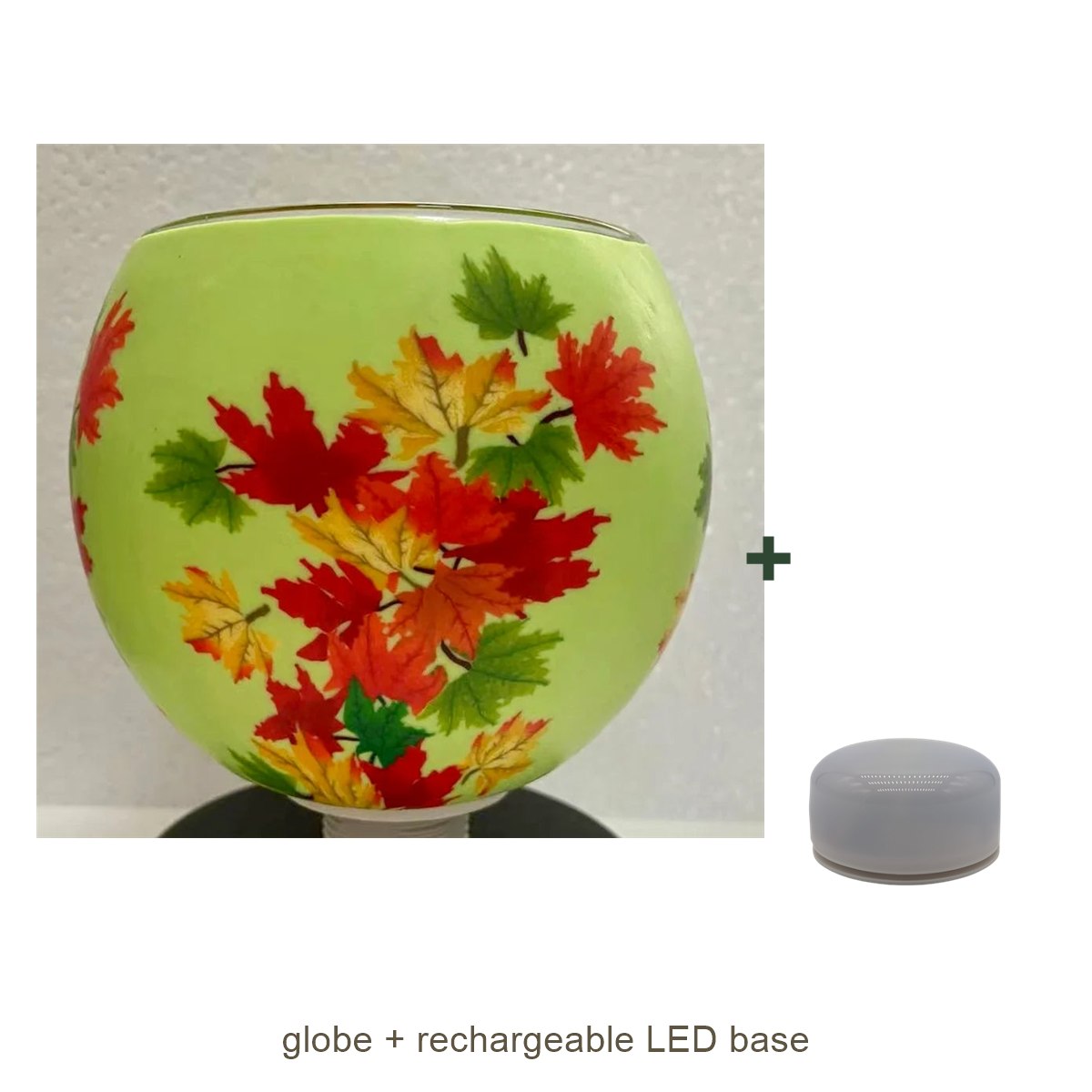 Bundle contents: light globe with rechargeable LED base