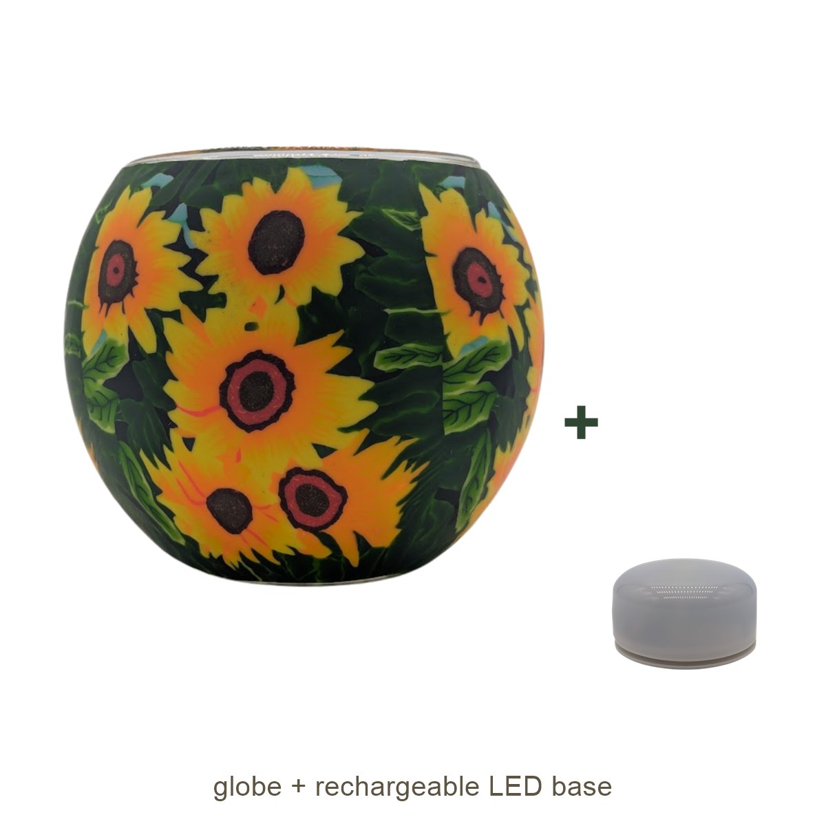 Bundle contents: light globe with rechargeable LED base