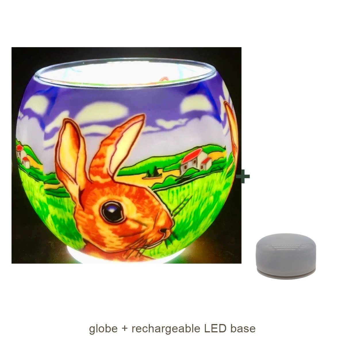 Bundle contents: light globe with rechargeable LED base