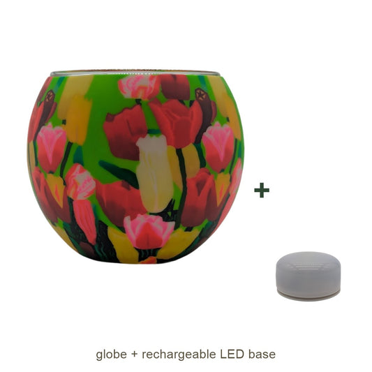 Bundle contents: light globe with rechargeable LED base